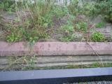 image of grave number 431925